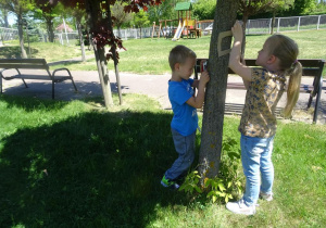 Dzieci oglądają przez lupę korę drzew na ogrodzie przedszkolnym.